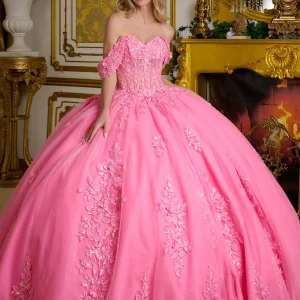 3D Floral Applique Off Shoulder Quinceanera Dress by Elizabeth K - GL3635